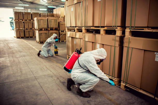 Best Termite Control Services  in Jasper, GA