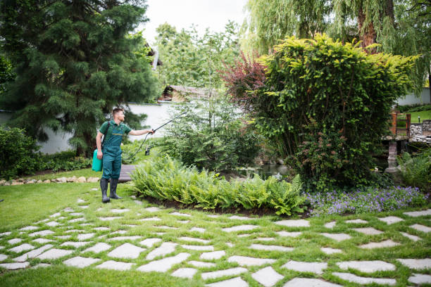 Professional Pest Control in Jasper, GA