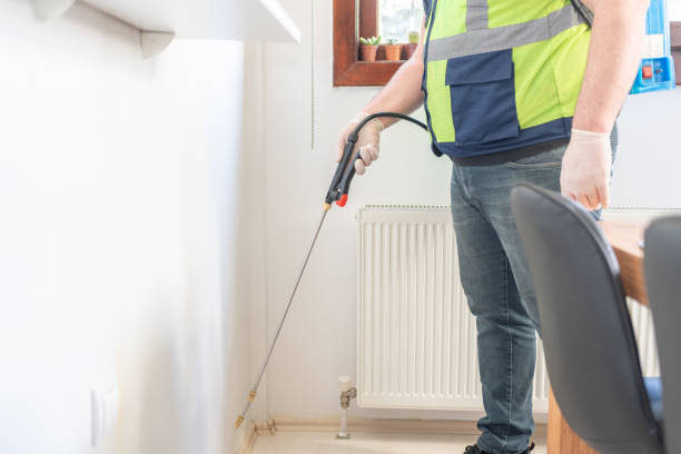 Best Termite Control Services  in Jasper, GA