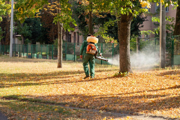 Best Local Pest Control Services  in Jasper, GA